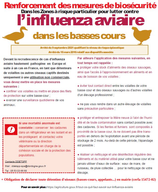 grippe_flyer_mesures.JPG