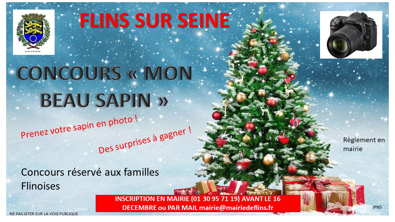 Concours sapin de Noël 2023.jpg
