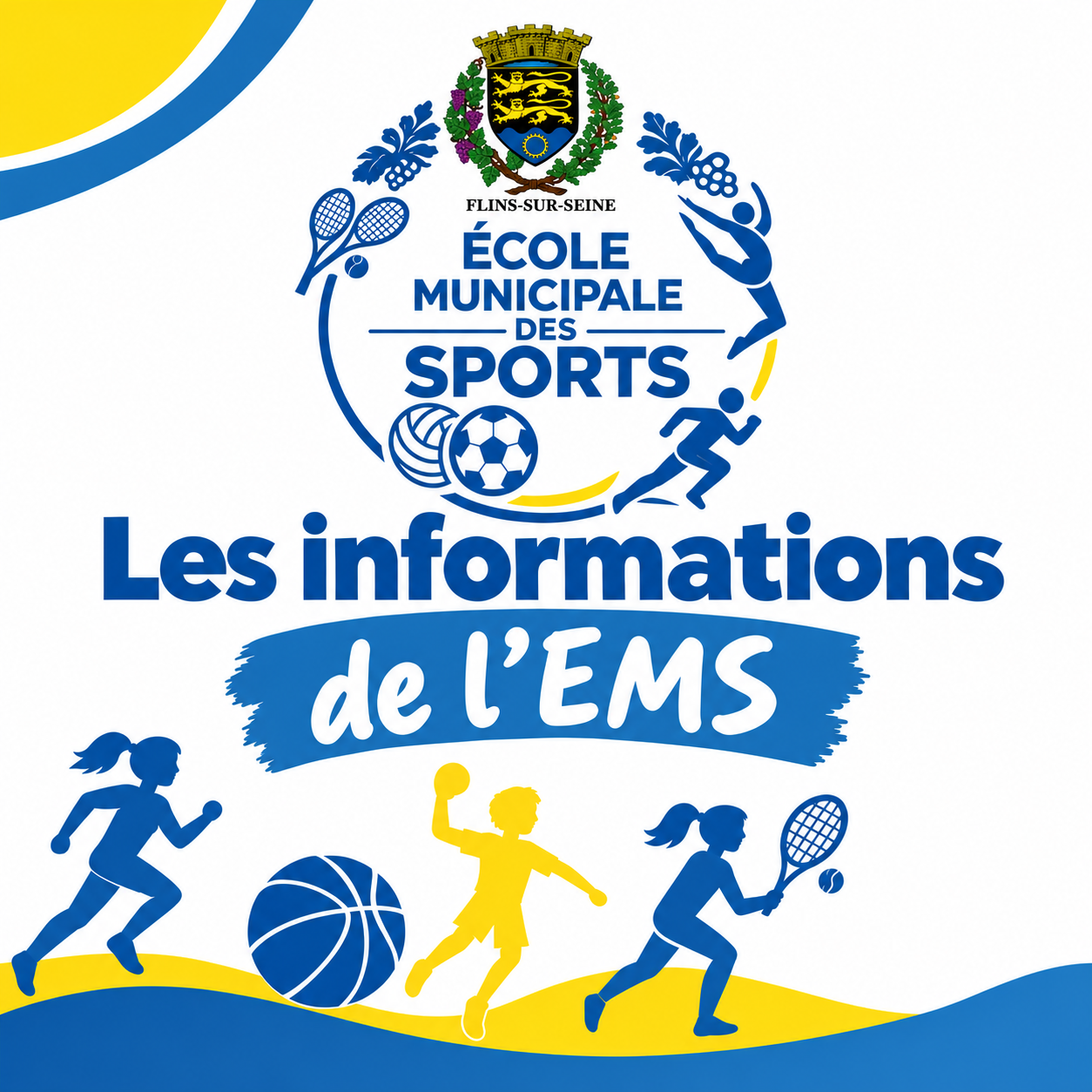 Info ems.png