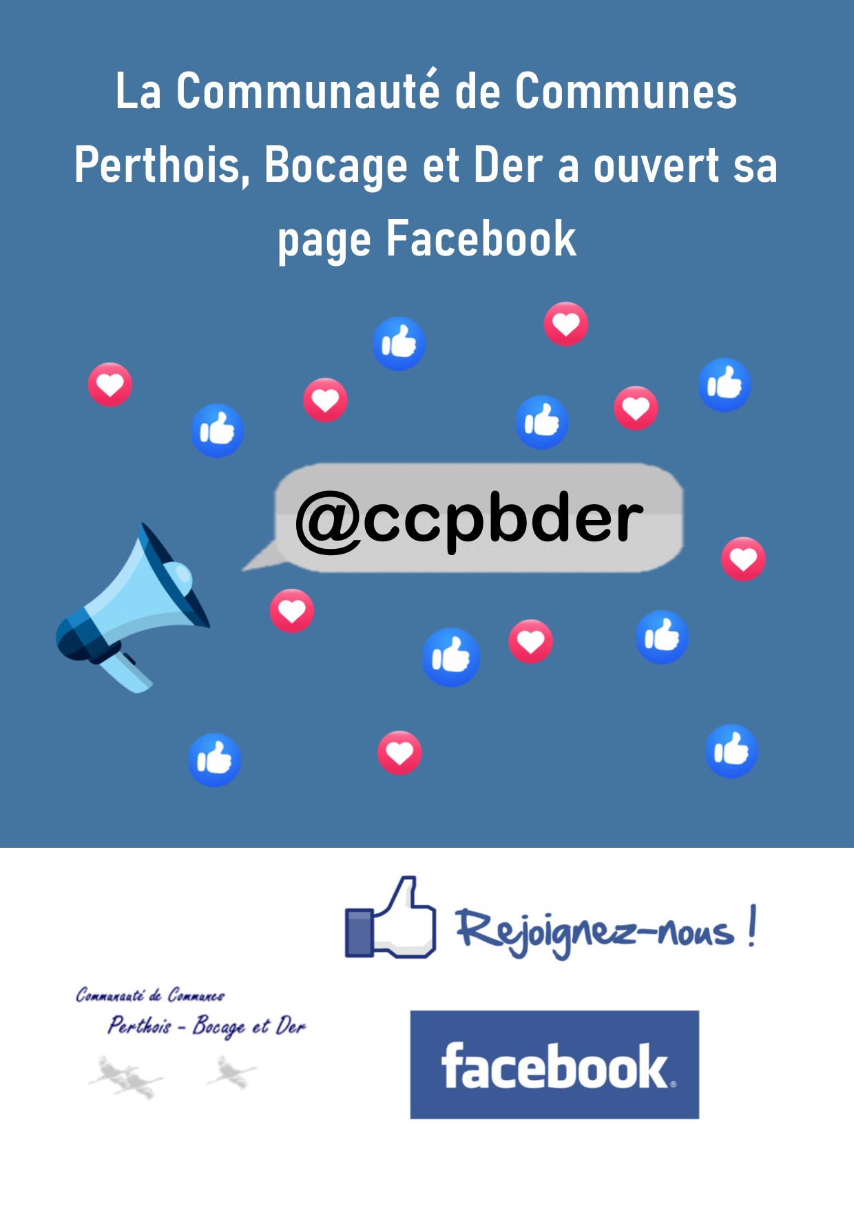 affiche facebook  2.jpg