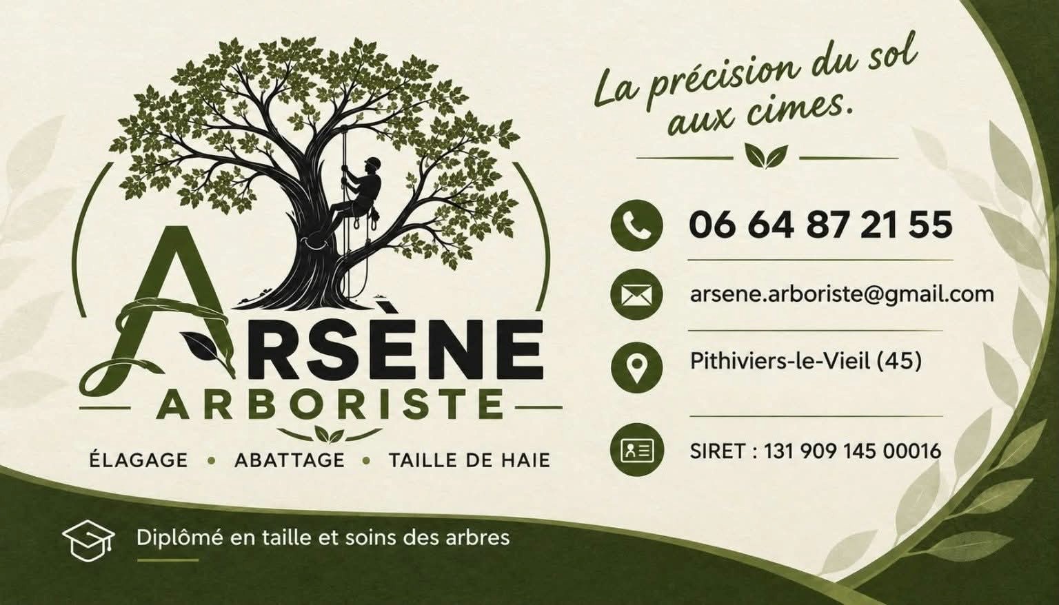 Logo Arsene arboriste.jpg