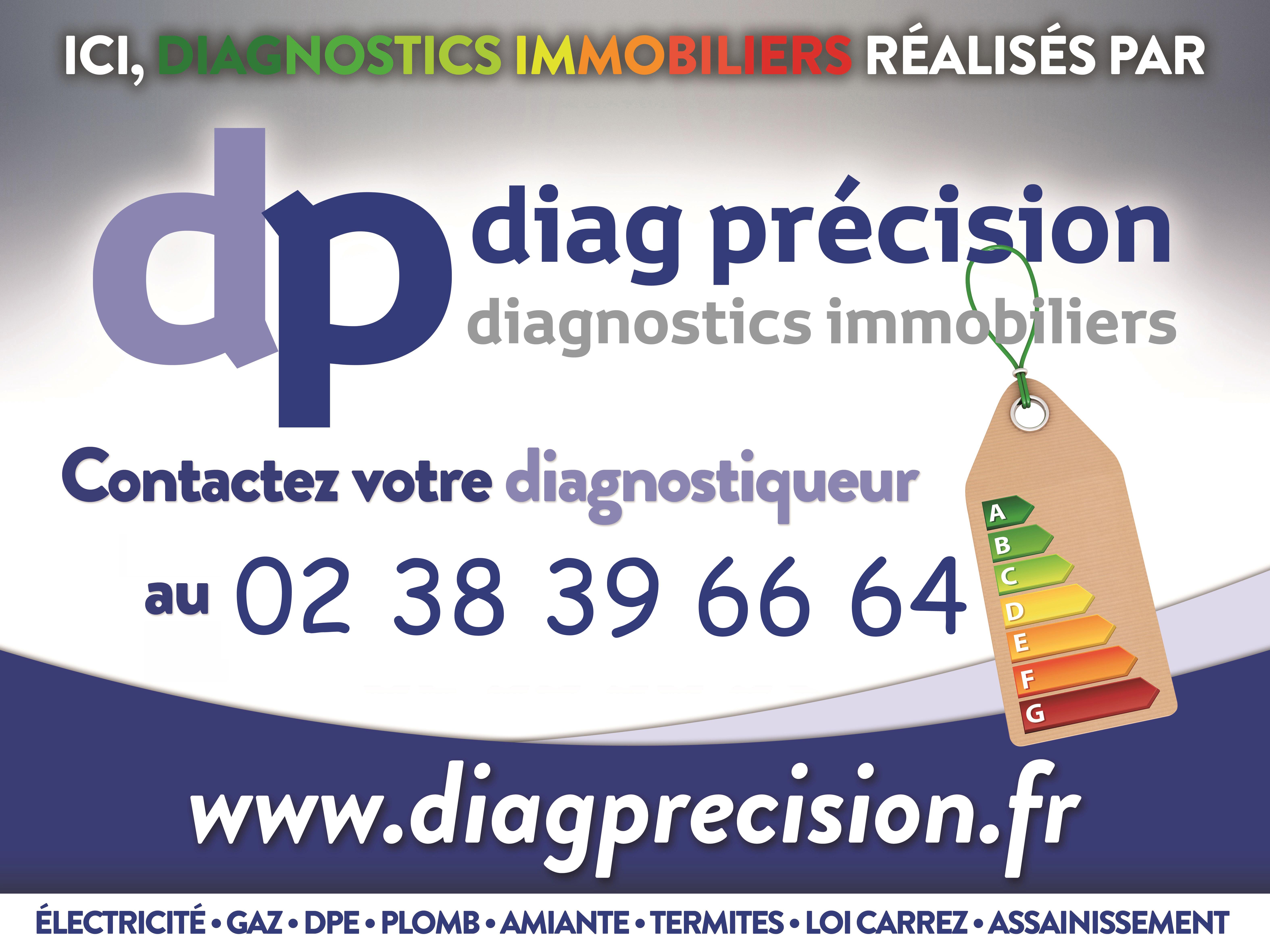 logo DP Diag Précision.jpg