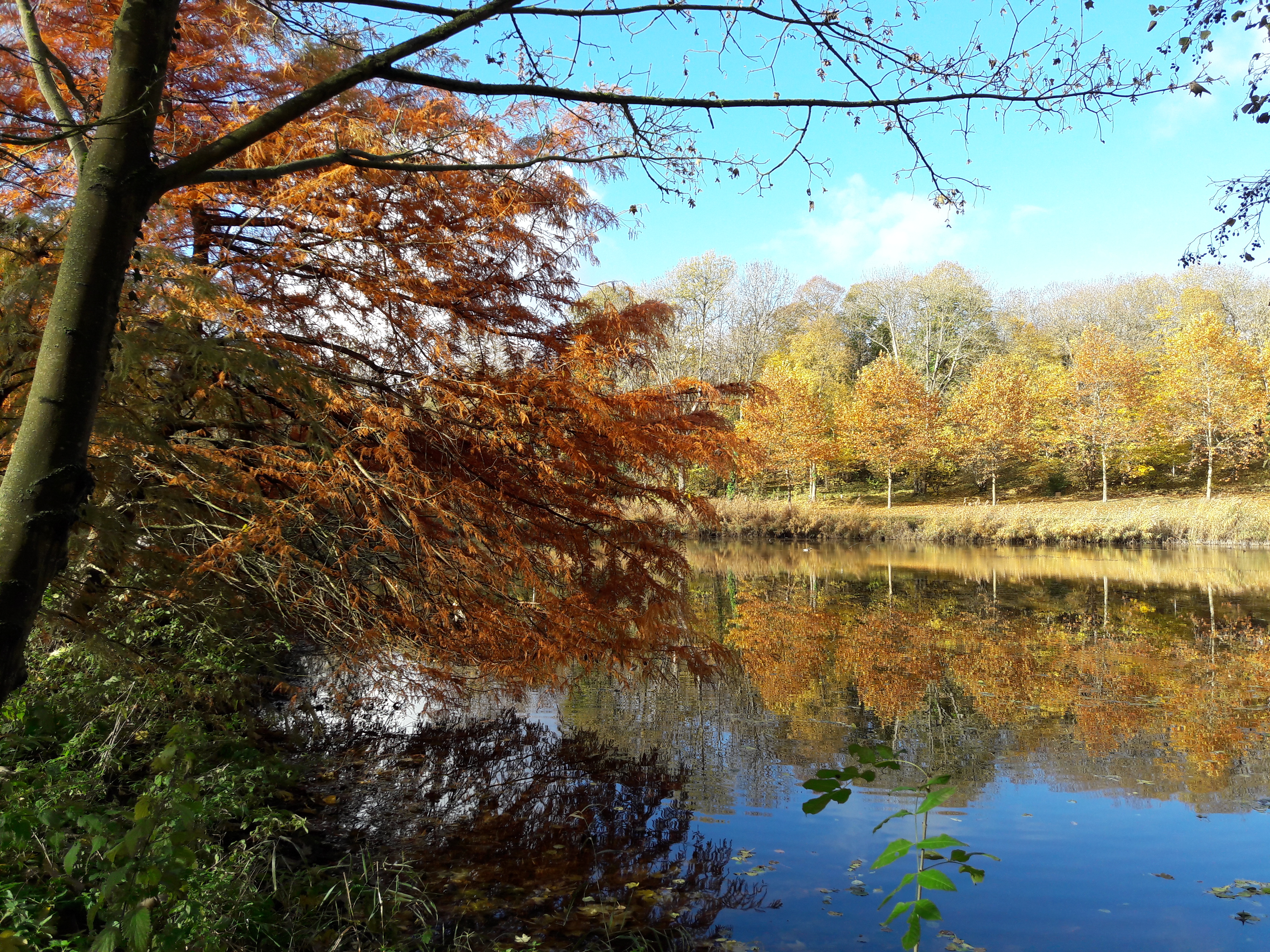 voeux du maire 2026.jpg