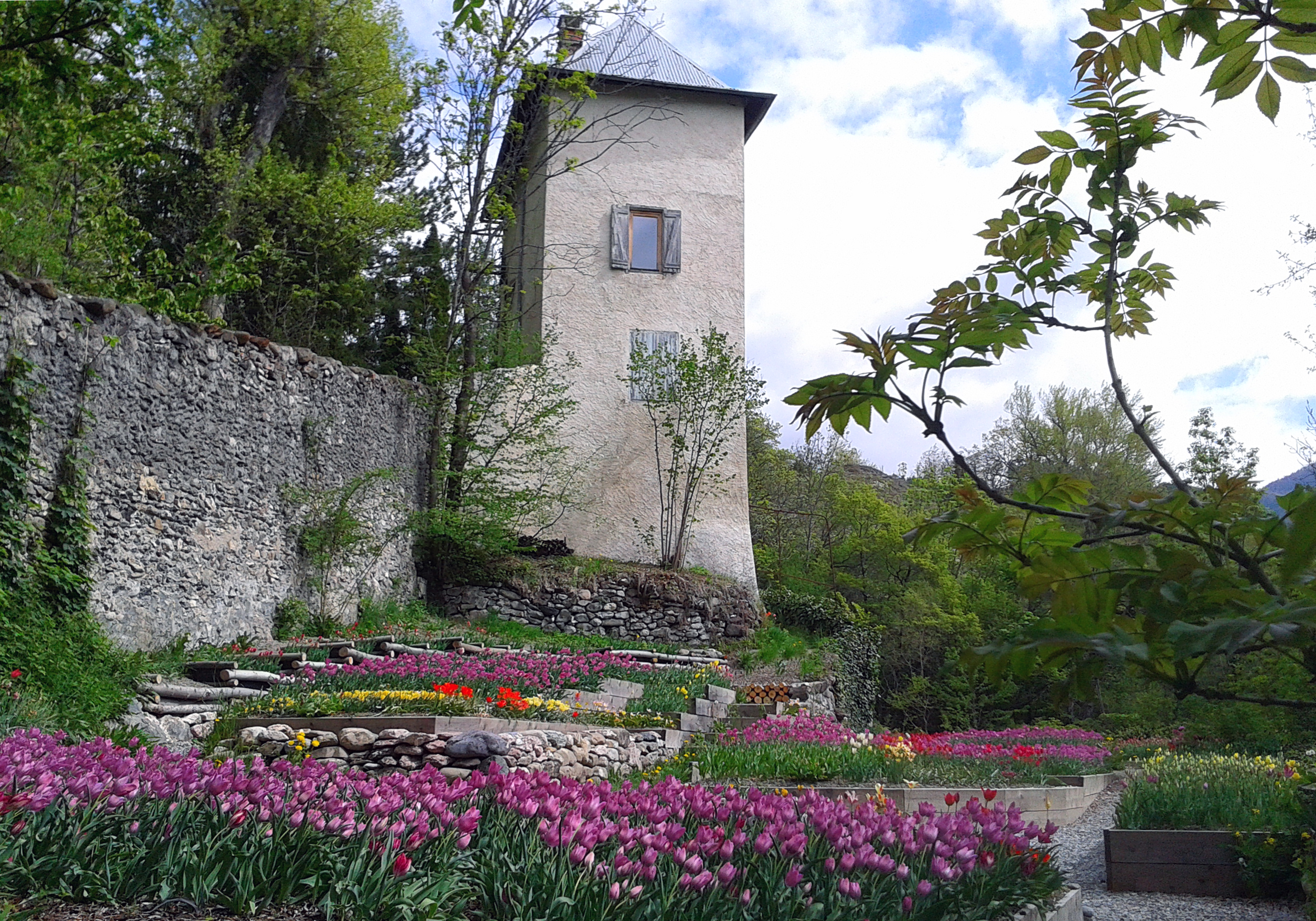 Photo 2-Le jardin des tulipes.jpg