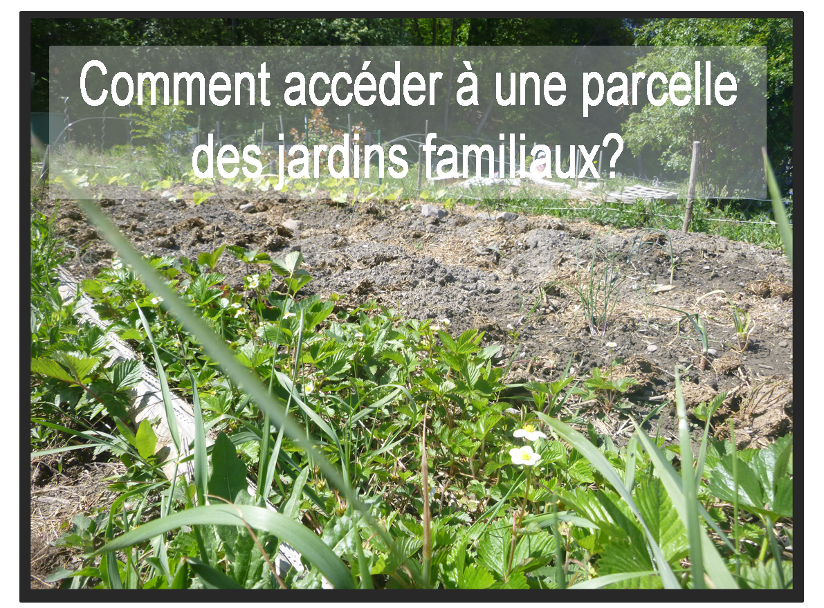 jardin famillial bouton.png