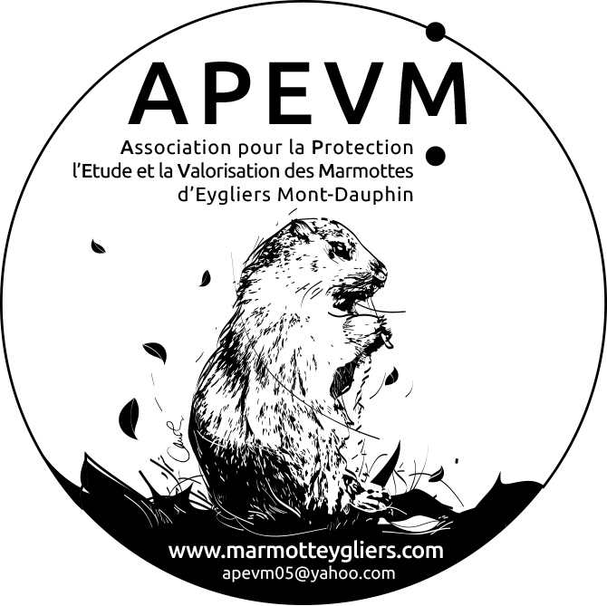LOGO apevm.jpg LOGO apevm.jpg