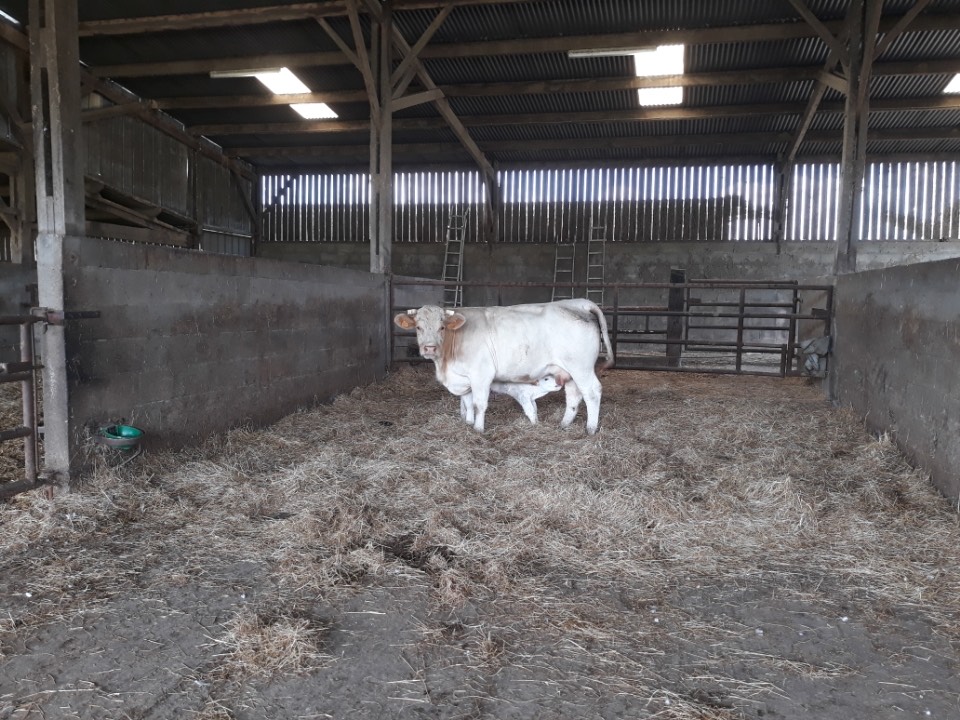 gaec les mottes 2.jpg