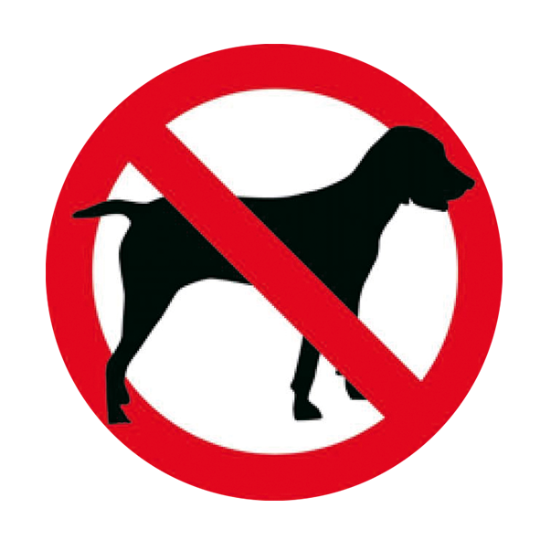 stop chien errant.png