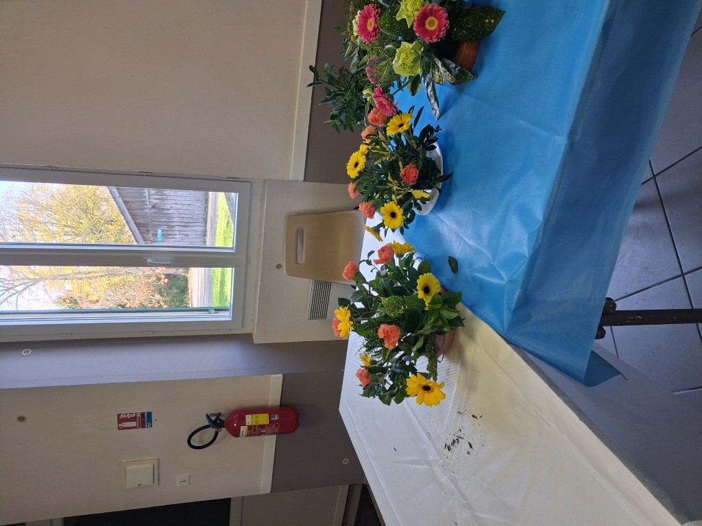 1000003583 Moyen.jpg