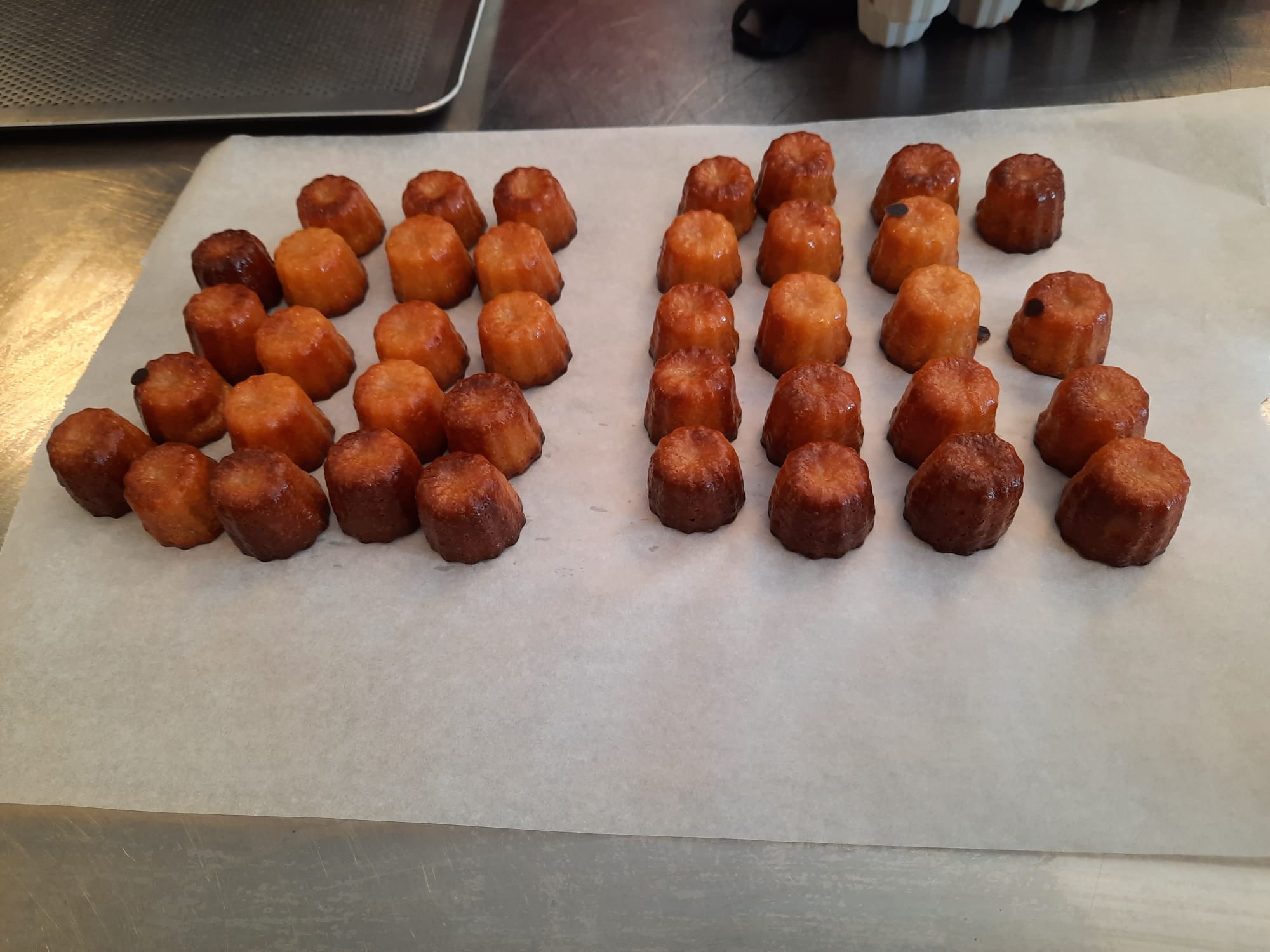 06 IMG-20231007-WA0005.jpg