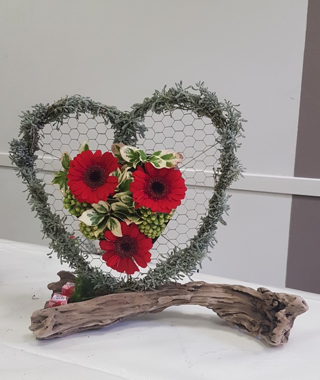 20260131_121711 Moyen.jpg