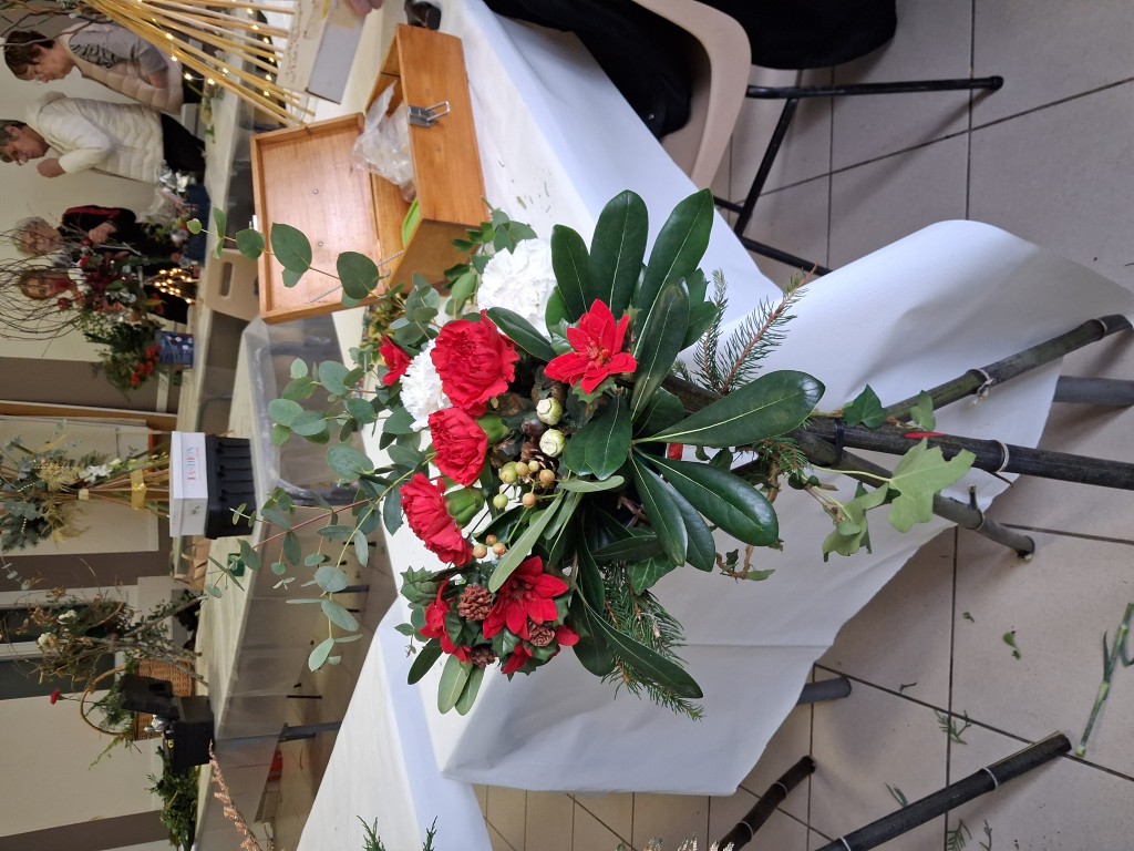 20251206_113324 Moyen.jpg