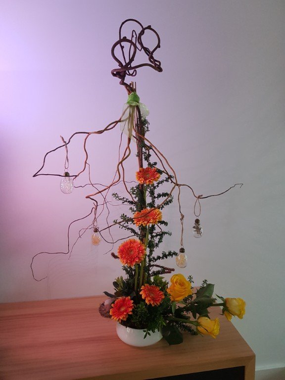 20250412_160926 Moyen.jpg