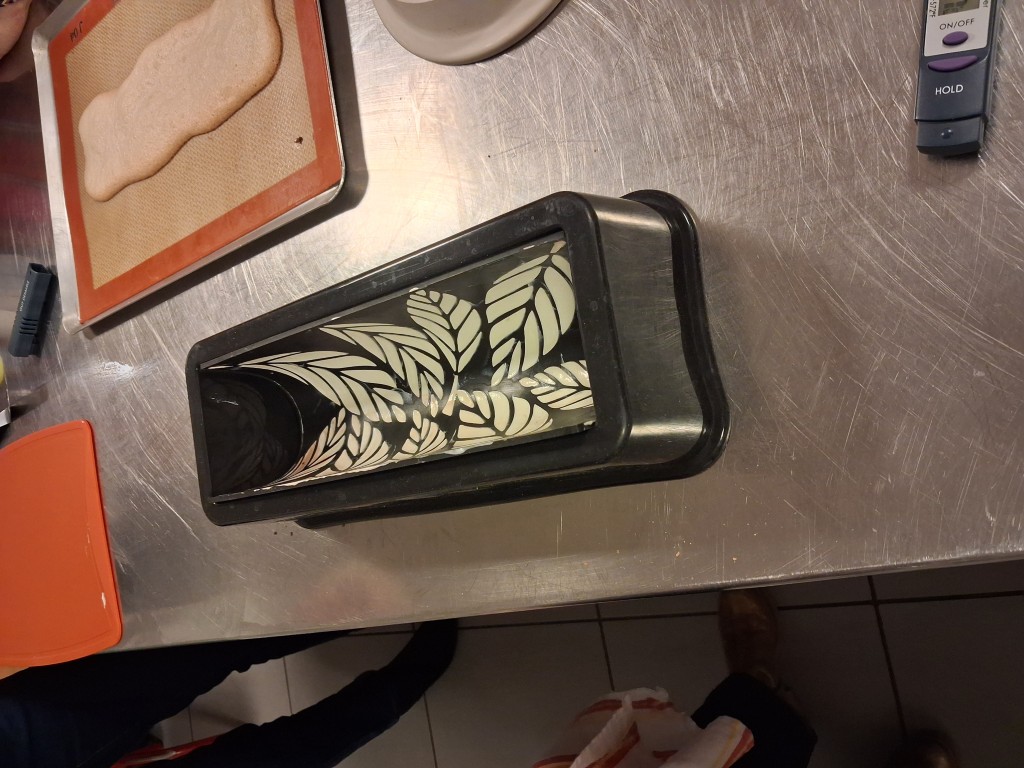 20251205_202103 Moyen.jpg