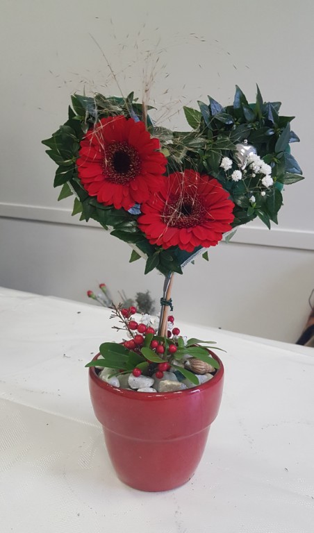 20260131_121810 Moyen.jpg