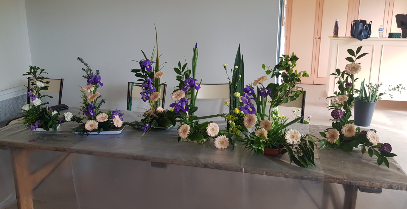 20240405_174601 Moyen.jpg