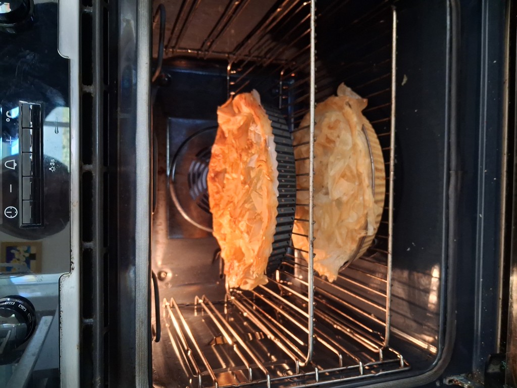 20260321_115242 _Medium_.jpg