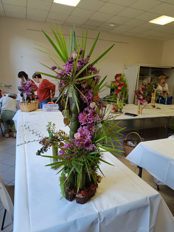 IMG_20251011_110923 Moyen.jpg