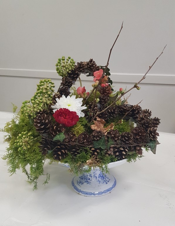 20260131_121901 Moyen.jpg