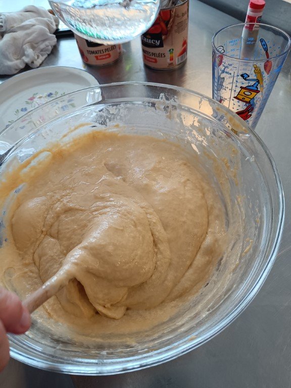 IMG_20250329_112317 Moyen.jpg