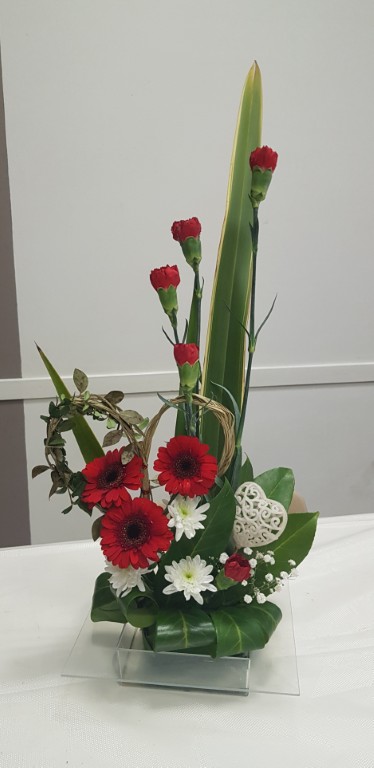 20260131_122016 Moyen.jpg