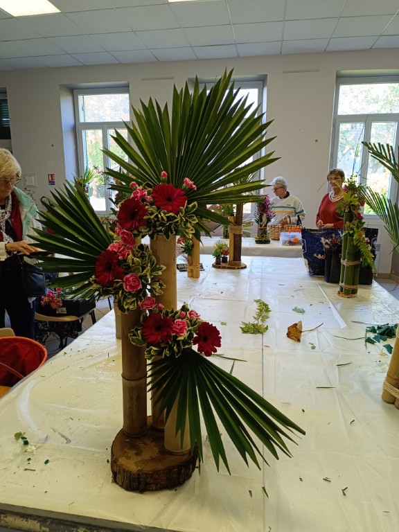 IMG_20251011_111016 Moyen.jpg