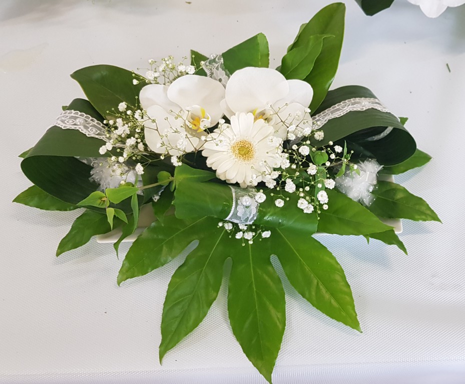 20250614_205417 Moyen.jpg