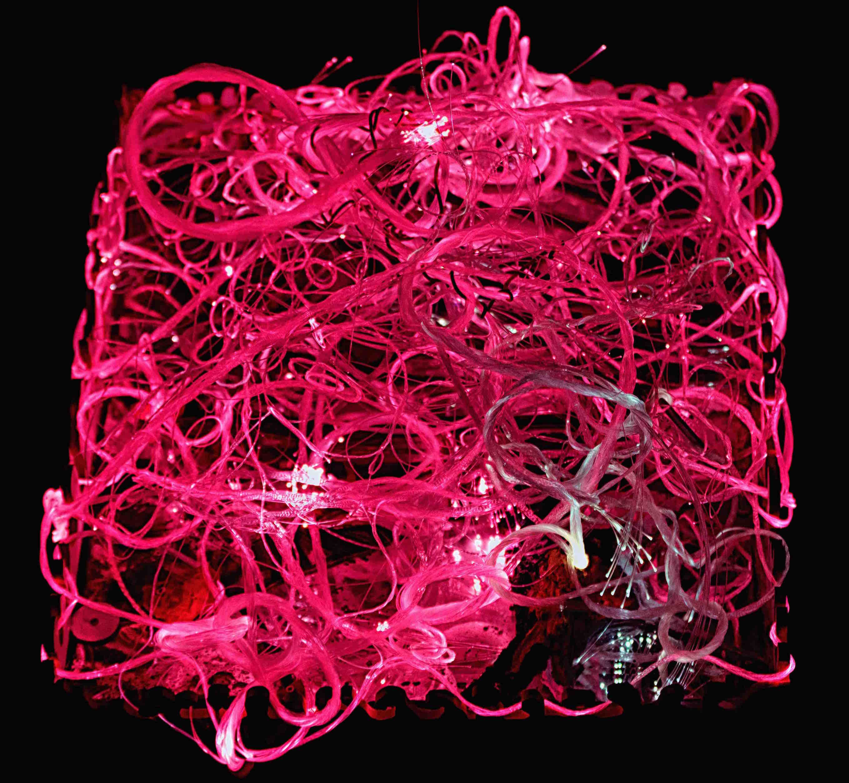 Rouge dit 444THz 80 cm3.jpg