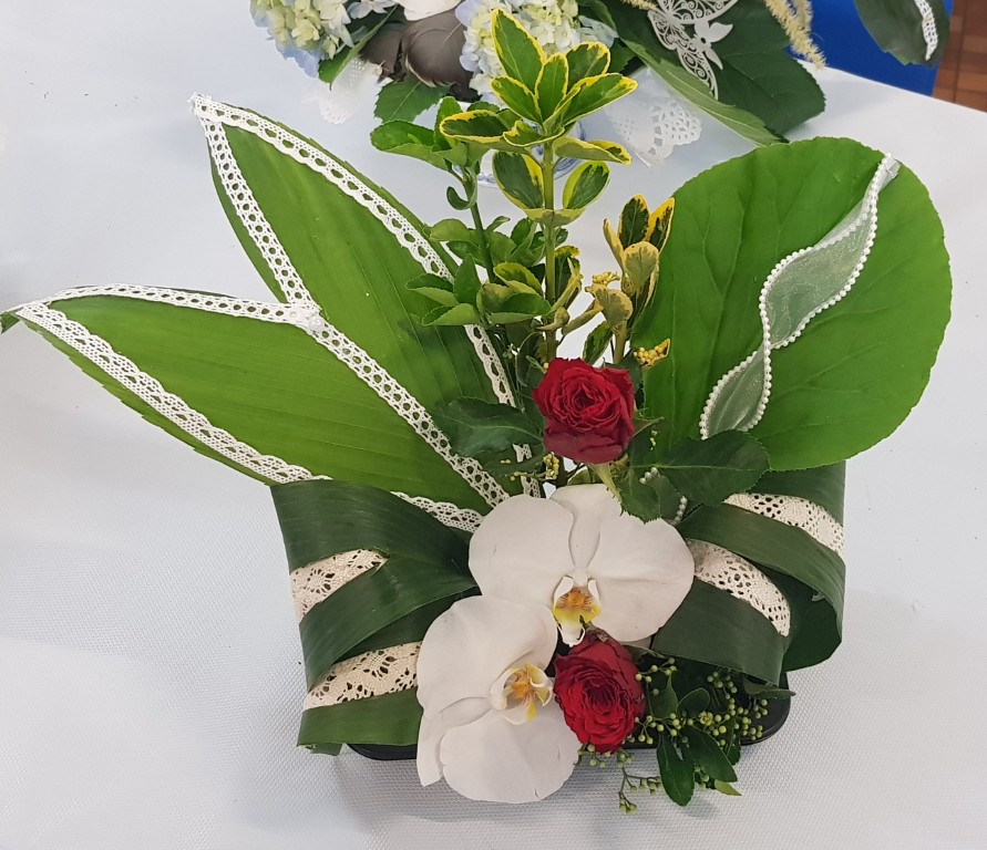 20250614_205648 Moyen.jpg