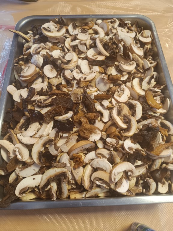 IMG_20241214_102602 Moyen.jpg