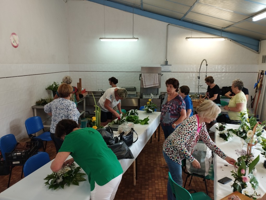 IMG_20250614_104821 Moyen.jpg