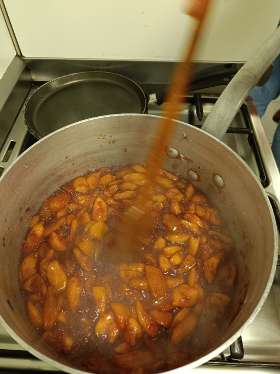 05 IMG_20240126_183753 Moyen.jpg