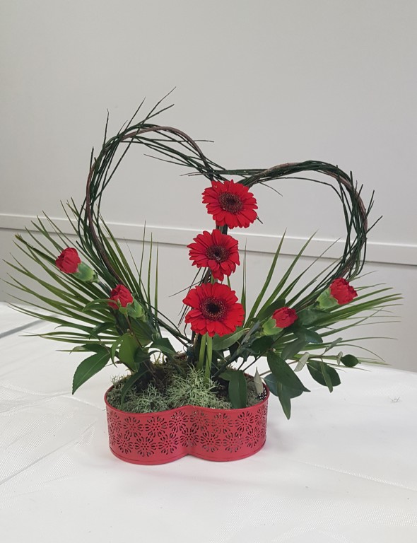 20260131_121929 Moyen.jpg