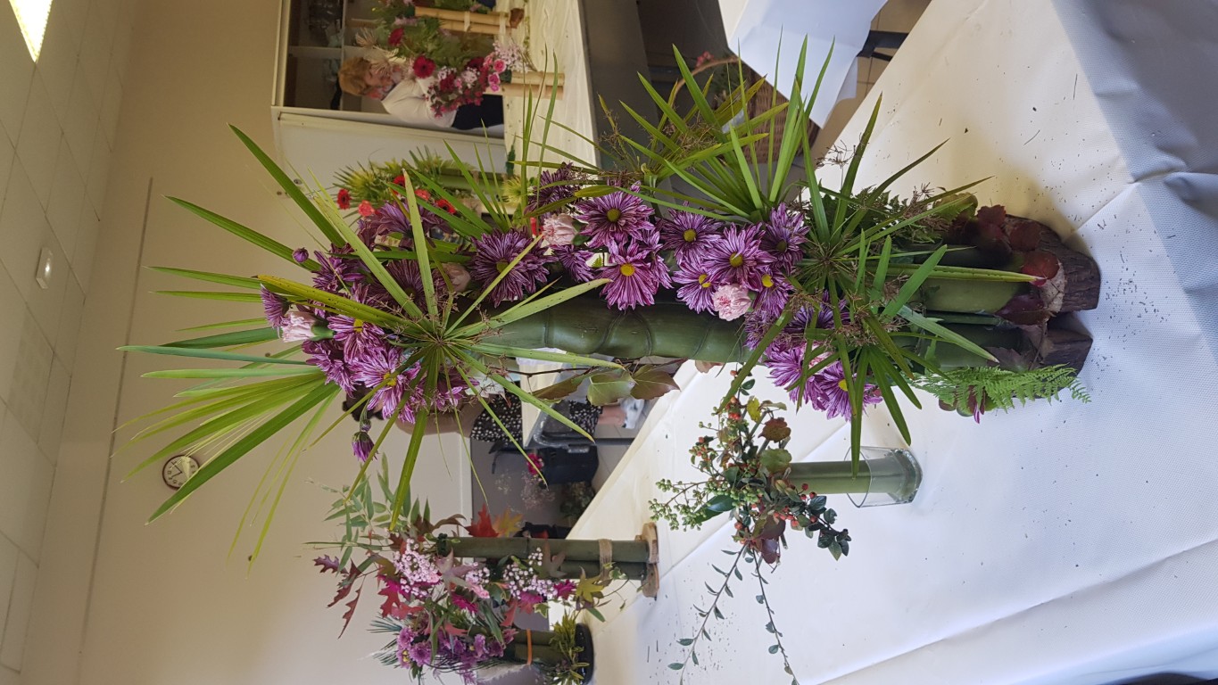 20251011_110606 Moyen.jpg