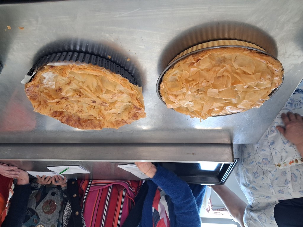 20260321_120840 _Medium_.jpg