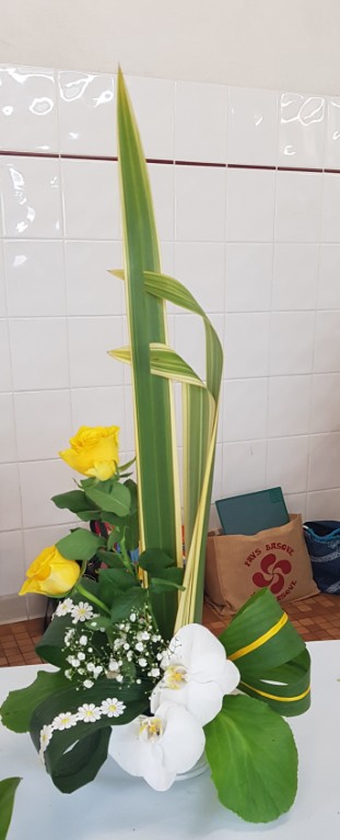 20250614_205439 Moyen.jpg