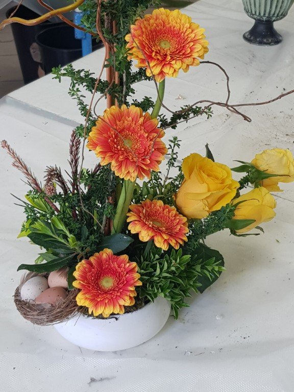 20250412_113010 Moyen.jpg