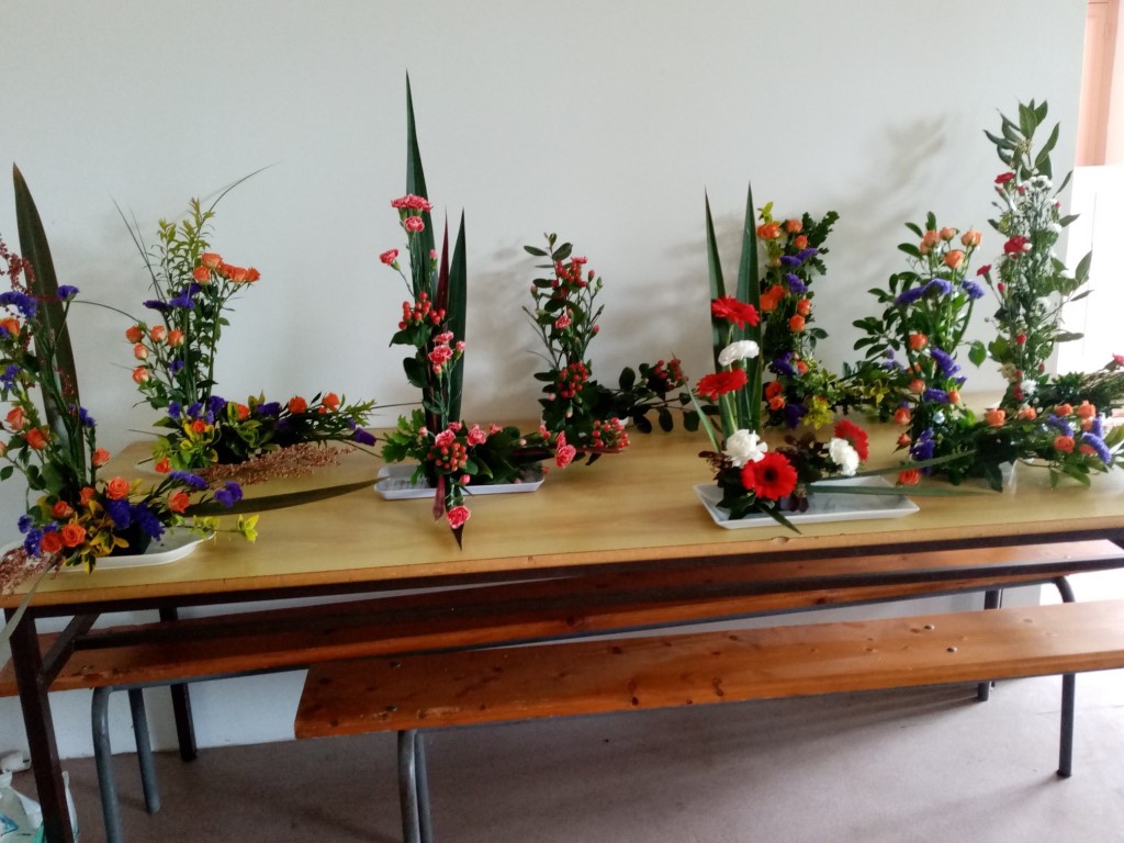 IMG_20230501_065801 Moyen.jpg