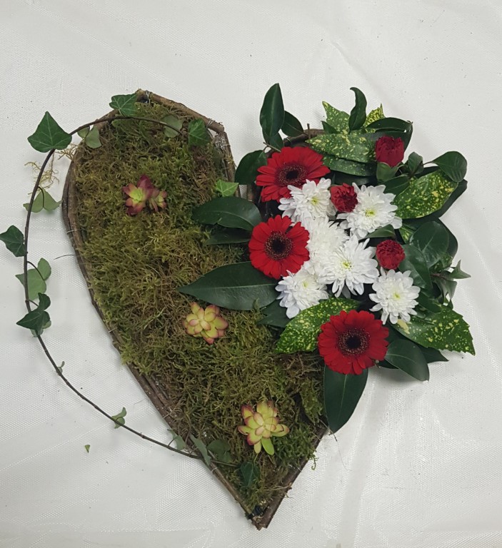 20260131_122002 Moyen.jpg