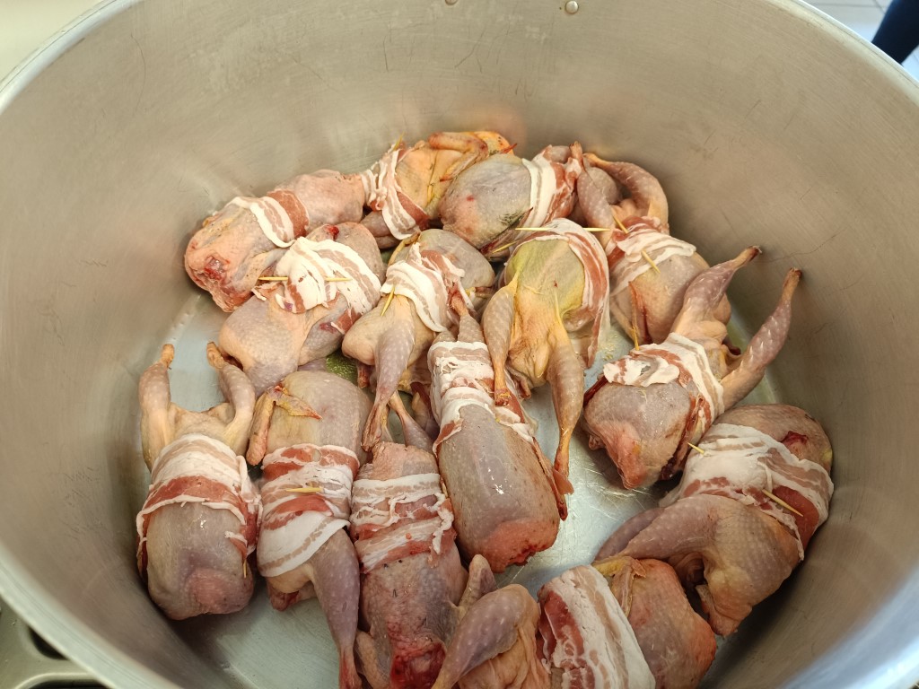 IMG_20240210_093153 Moyen.jpg