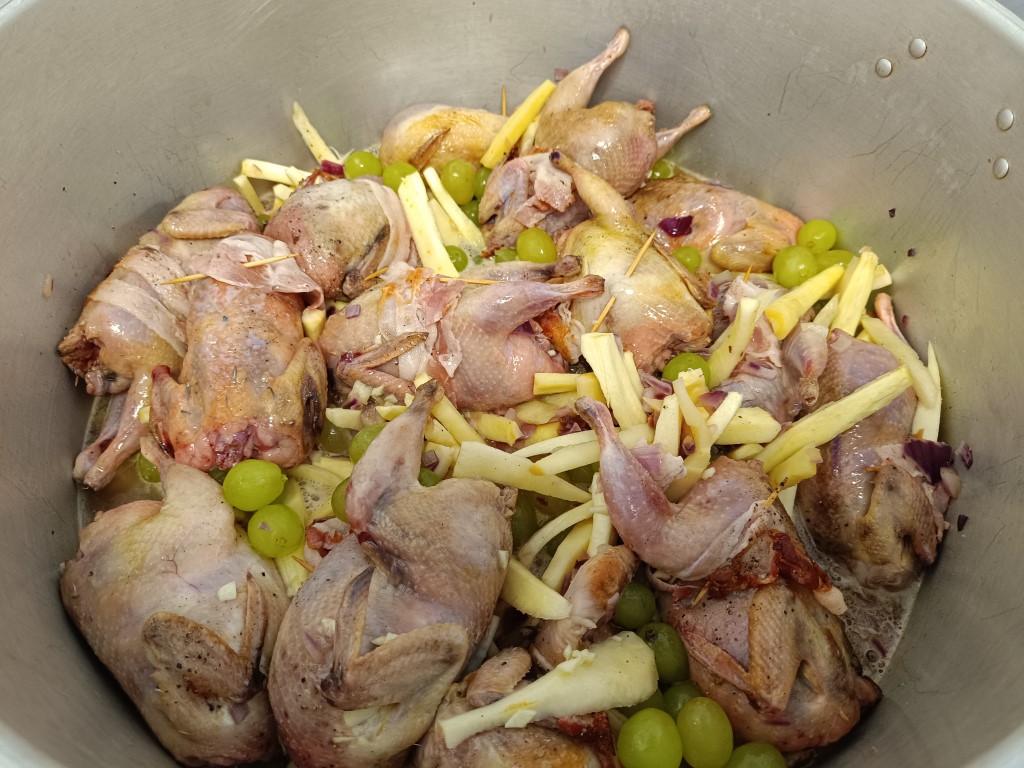 IMG_20240210_094929 Moyen.jpg