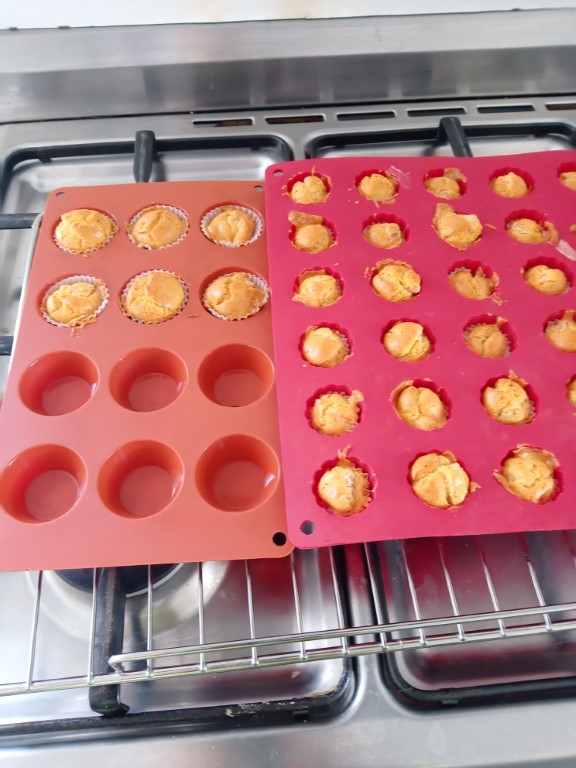 IMG_20230603_115858396 Moyen.jpg