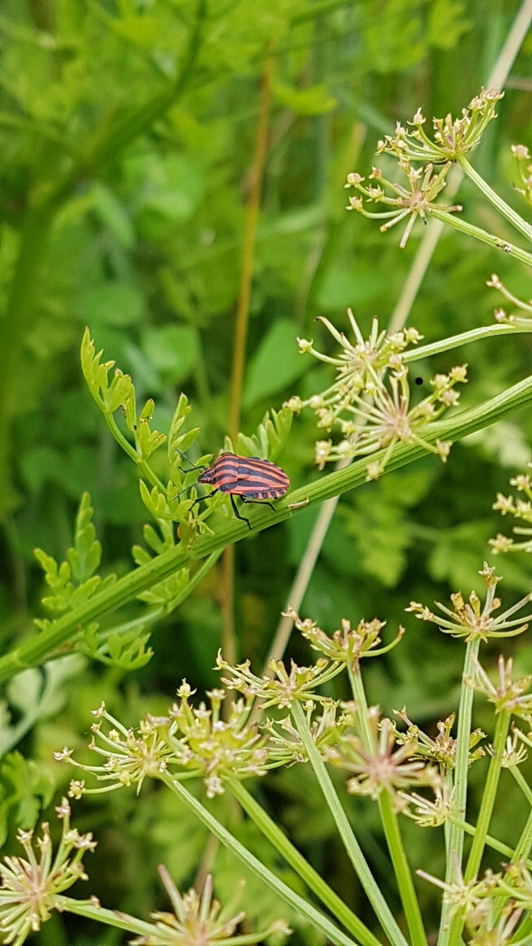 20190615_110843.jpg