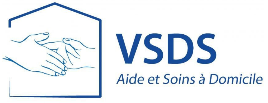 VSDS.PNG