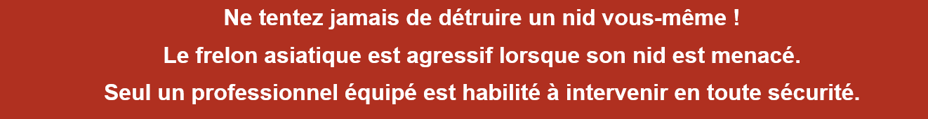Capture Ne tentez jamais de détruire un nid.png