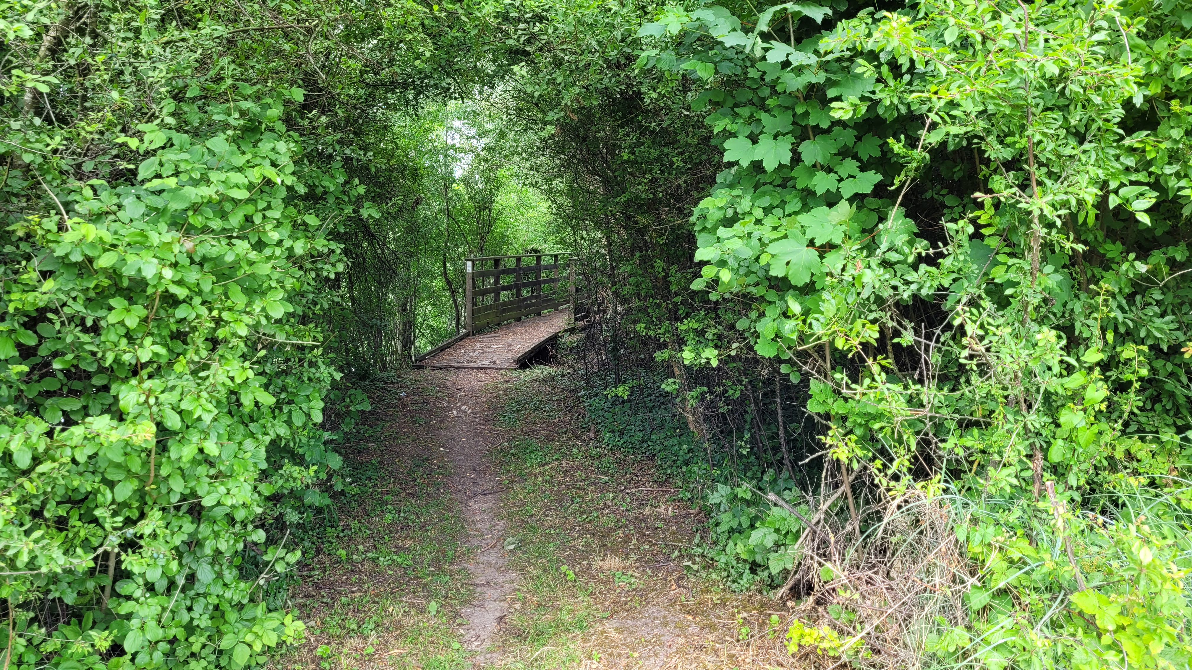 Chemin Noisy-sur-Oise