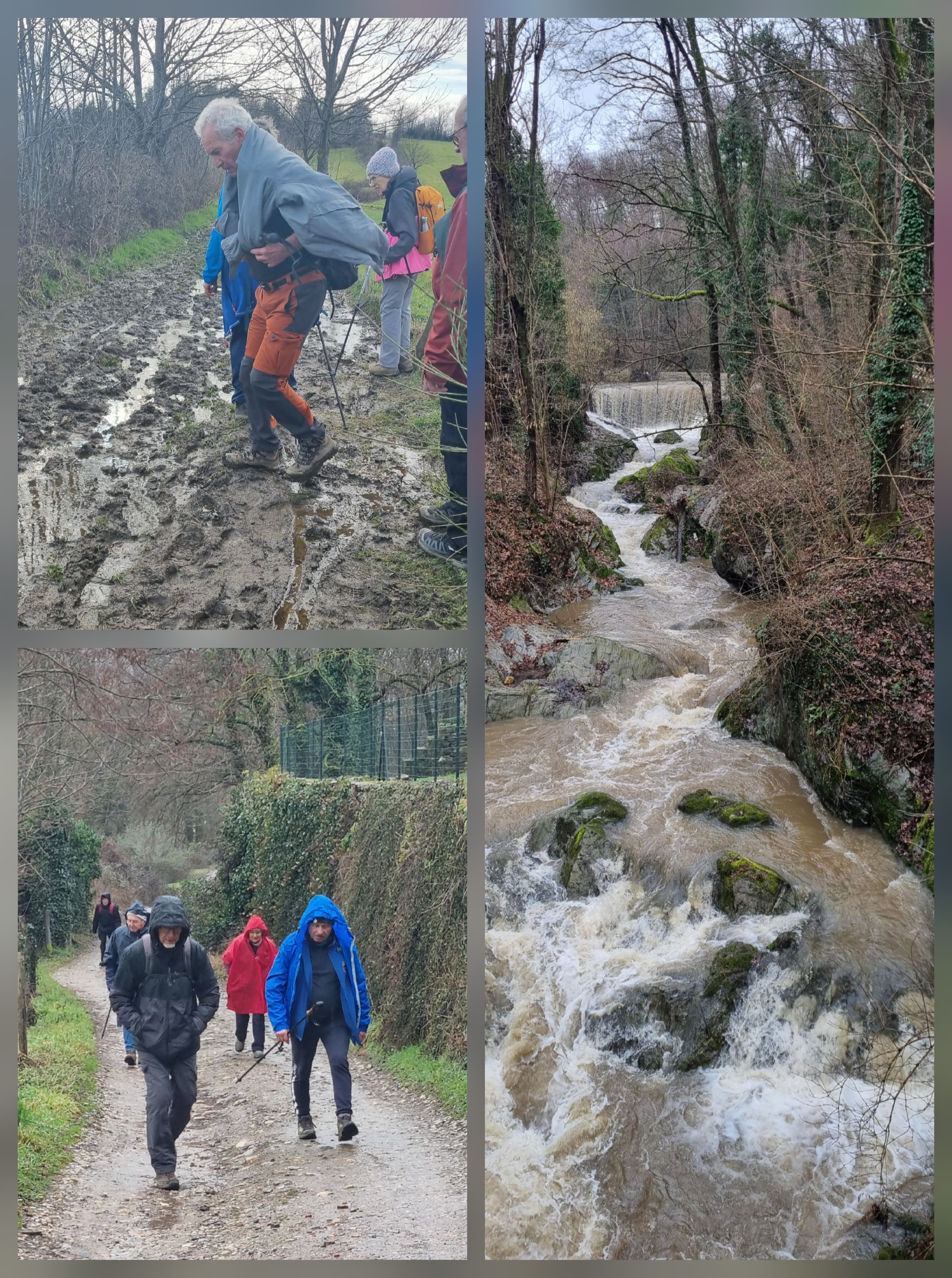 Les Galcohons - début 2026.jpg