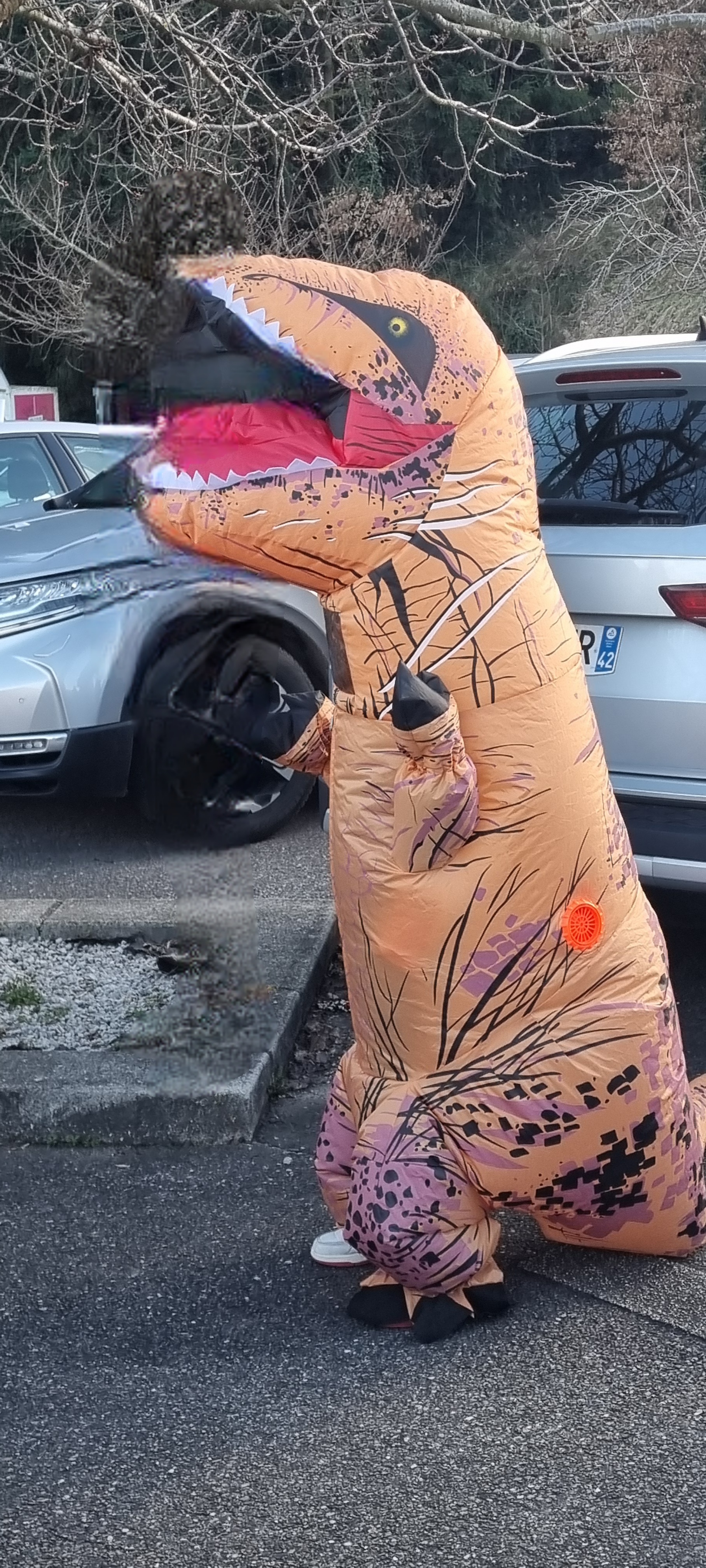 CARNAVAL 2026 - _2_.jpg