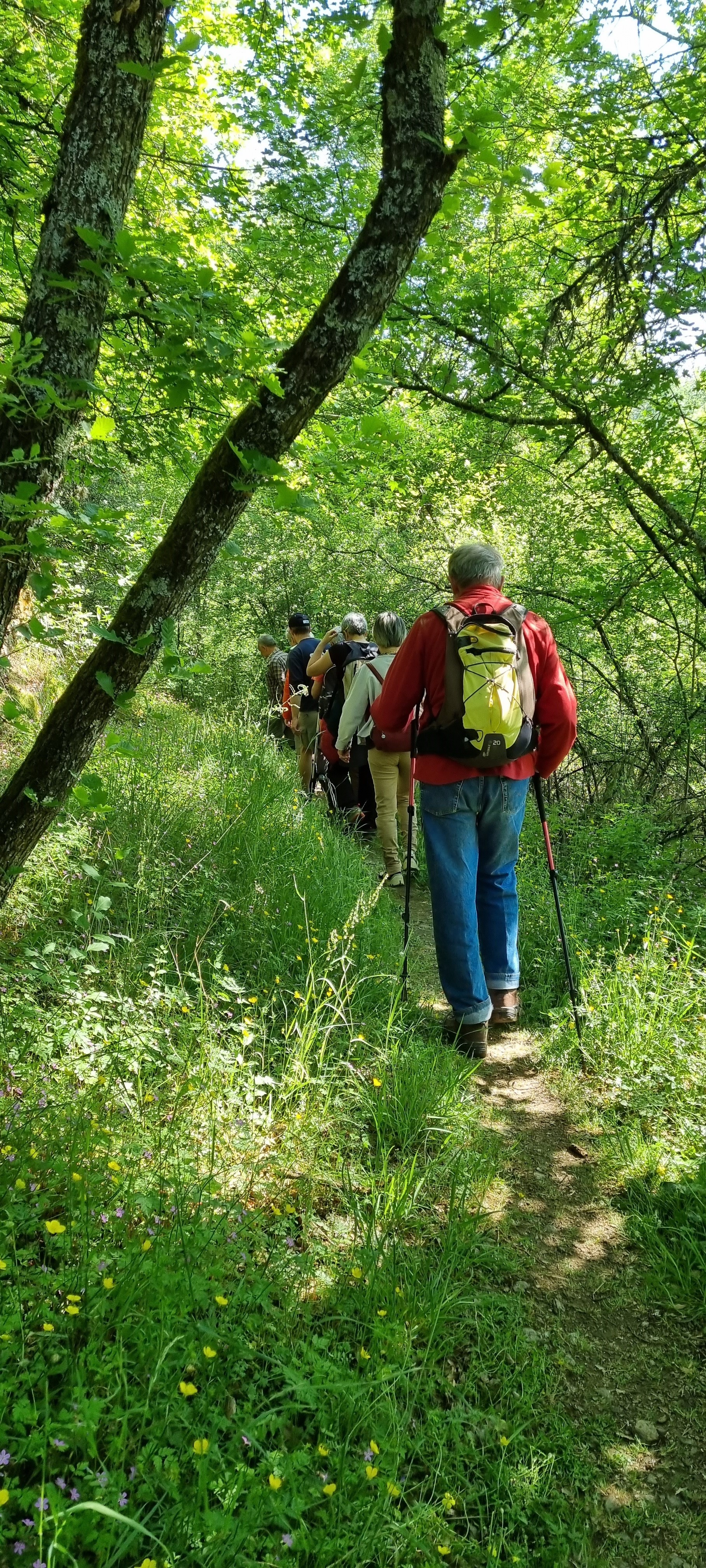 marcheurs de dos lors de la visite de l_aqueduc 7 mai 2022.jpg