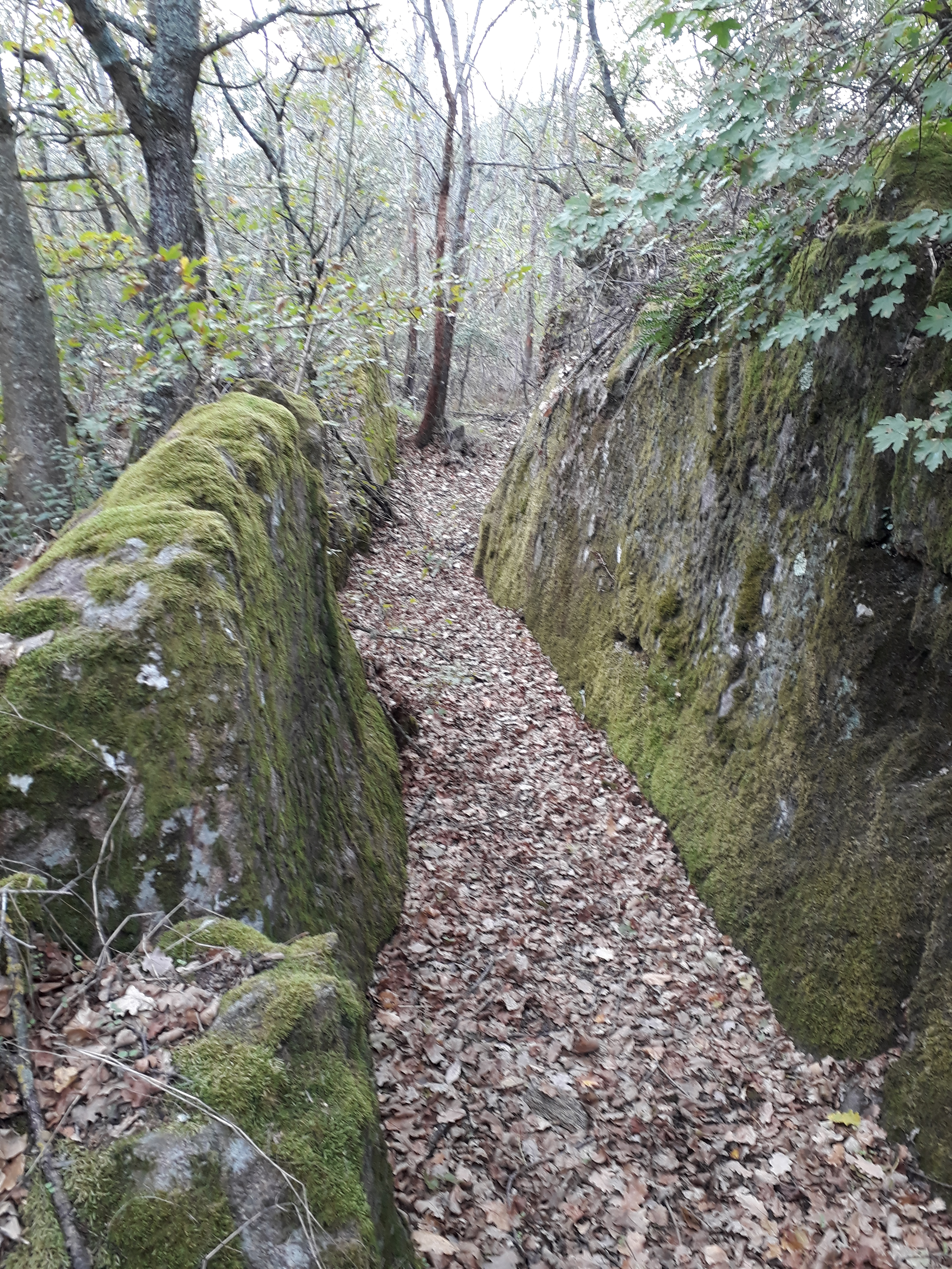 Tranchée supérieure.jpg